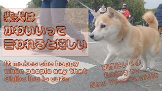 初詣　注目を浴びると柴犬ククは嬉しい \