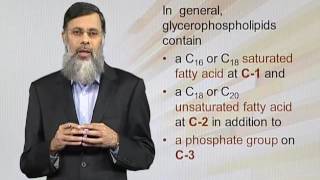 BIO202 Topic139