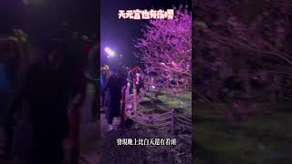 天元宮也有夜櫻，比白天還有看頭https://youtu.be/7VKrAEpVLh0