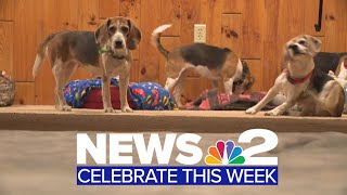 News 2 Celebrate This Week