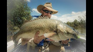 Murray Cod Hit's Hookups Misses Vol 2
