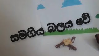 සමගිය බලය වේ animation video stop motion video 2