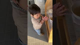 【給食見ないと帰らない1歳児】#shorts #1歳5ヶ月 #1歳6ヶ月 #可愛い #給食 #保育園 #保育園給食 #保育園児