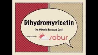 Dihydromyricetin (DHM): The Miracle Hangover Cure??