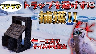 【ASA】プテラでトラップを避けずに誘導できる!!雪フクロウのコンパクトなトラップの紹介【ARKSurvivalAscended】