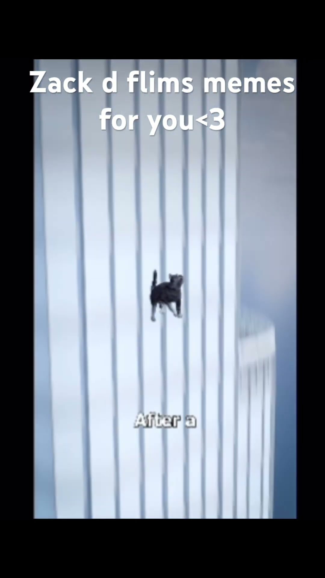 Zackdfilms Funnyvideos Meme For You Youtube