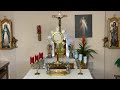 live eucharistic adoration sisters of divine mercy