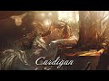 Taylor Swift - cardigan (Lyrics) [Anime Aesthetic]