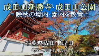 晩秋の成田山新勝寺･成田山公園 を散策 [4K] Stroll through Naritasan Shinshoji Temple and Naritasan Park in late autumn