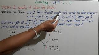 मेण्डल के प्रभाविता के नियम को लिखिए । class 12th biology lesson 5