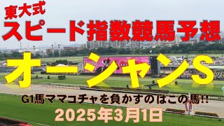 【オーシャンＳ２０２５】東大式スピード指数による競馬予想