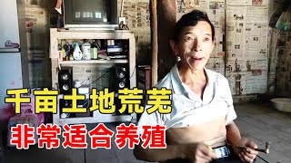 深山村组整体搬迁仅剩一户，5000亩山林土地荒芜，非常适合搞养殖【乡村阿泰】