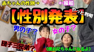 赤ちゃんはどっち！？　風船割って【性別発表】してみた