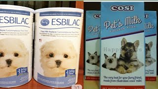 gamot sa garapata ng shih tzu