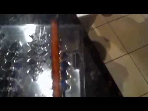 How To: Make Pretzel Rod Trees How To: Make Pretzel Rod Trees