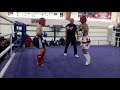 davit faroyan kickboxing dkd 1 4 final georgia