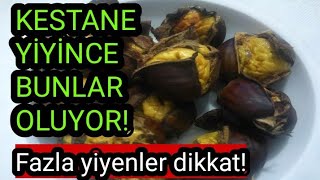 KESTANE YİYİNCE VÜCUDUMUZDA BUNLAR OLUYORMUŞ! FAYDALARI VE ZARARLARI | KESTANEYİ ÇOK YERSENİZ...