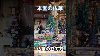 【仏華】本堂の仏華/ご自宅でも出来る生け方のコツをご紹介【教徳寺ver.】 #shorts #flowers #仏花  #花 #浄土真宗本願寺派 #教徳寺