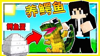 Minecraft 多人生活大冒险，木鱼修建池塘，饲养鳄鱼宝宝！