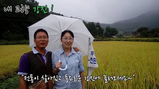 내 고향 강진! [강진군 초록믿음 UCC]