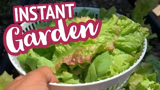 Instant, Harvest-Ready Garden