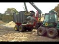 practicality brown tree clearance with