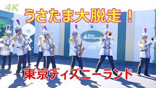 4K　ディズニーイースター🐰TDLバンド　2019.04　TDL　ディズニーランド　Tokyo Disneyland Band