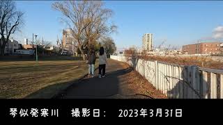 琴似発寒川ママチャリ散歩　帰宅編　2023年3月31日　発寒川緑地　発寒橋　発寒川公園　なかよし橋　富茂登橋　長栄橋　山の手橋　長栄橋　かもめ橋清水橋　あゆみ橋