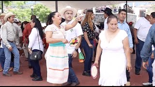 🎻🤠 Uno De Los Mejores: Retransmisión Del Domingo 650 De Huapango En Xilitla SLP México