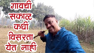 गावची सकाळ आठवणींचा प्रकाश प्रत्येक प्रवासात सोबत #village