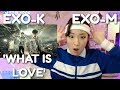EXO-K & EXO-M 'WHAT IS LOVE' MV (Korean & Chinese Ver.) REACTION | EXO-CISE WITH ME (Day 2)