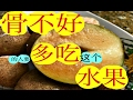 人心果, ciku buah,Sapodilla fruit,