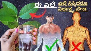 ಈ ಎಲೆ ಎಲ್ಲೇ ಸಿಕ್ಕಿದರು ಬಿಡಬೇಡಿ|ಬರೋಬ್ಬರಿ 100 ರೋಗಗಳು ಕಡಿಮೆ ಮಾಡುತ್ತೆ|miracles 🌿 leaf