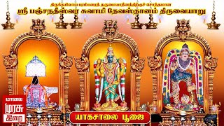 🔴Live - Thiruvaiyaru Sri Aiyarappar Temple Maha Kumbabishekam | கும்பாபிஷேகம் யாகசாலை பூஜை காலம் 4