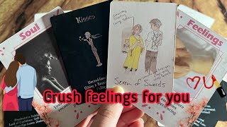 Crush Current feelings/ emotions for you❤️‍🔥 Crush current feelings | Hindi tarot card