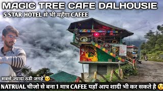 MAGIC TREE CAFFE VLOG DALHOUSIE / Dalhousie ka sabse mehnga caffe  मैजिक ट्री कैफ  / #shibukaclub