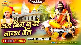 जल बिन सूखे नागर वेल | प्रकाश माली | Rajasthani Hit Bhajan | Marwadi Bhajan | Hits of Prakash Mali