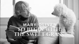 Mary Oliver’s Wisdom: Love Yourself, Then Love the World