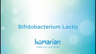 Bifidobacterium Lactis