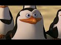 Dream world Madagascar 1|penguins are coming to Antarctica|part35