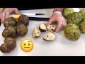 Cherimoya - What is it and how to eat it!