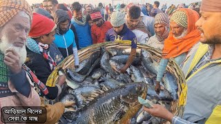 আড়িয়াল বিলের কৈ মাছ কতটা সস্তায় বিক্রি হচ্ছে দেখুন | desi fish price | koi fish | Fish market