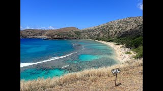 【ハワイ旅行】ハナウマ湾　極上シュノーケリングツアー　旅行前に家族でイメトレしよう　＃ハワイ　＃極上