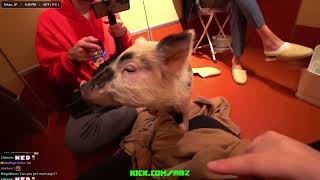 Ice Poseidon, ABZ and Murat at a pig cafe in Japan