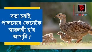 বতা চৰাই পালনেৰে কেনেকৈ স্বাৱলম্বী হব আপুনি ? ISHAN NEWS 22 11 2019