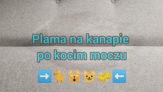 Domowe pranie kanapy sodą. Koci mocz na kanapie. Pranie tapicerki kanapy