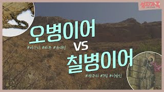 예수님께서 보여주신 기적, 오병이어와 칠병이어│성지순례, 성지가족