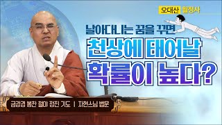 날아다니는 꿈을 꾸면 천상에 태어날 확률이 높다? | 금강경봉찬철야기도법회 | 자현스님 법문 (2/2)