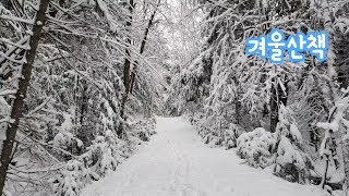 [번외편] 겨울산책 Winter Walk (Eng Sub)