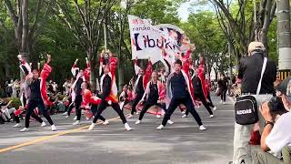 2023年　朝霞　いぶき　彩夏祭【本祭2日目】朝霞